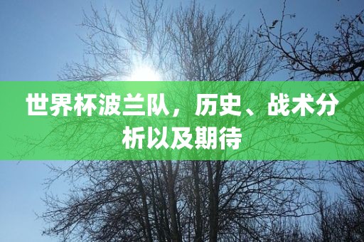 世界杯波兰队，历史、战术分析以及期待