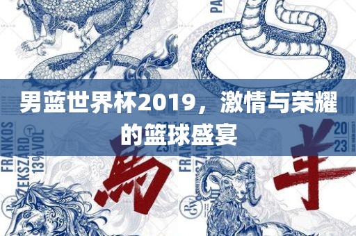 男蓝世界杯2019，激情与荣耀的篮球盛宴金炬实业股份有限公司