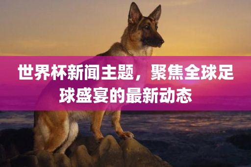 世界杯新闻主题，聚焦全球足球盛宴的最新动态