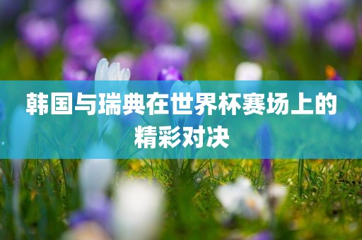 韩国与瑞典在世界杯赛场上的精彩对决