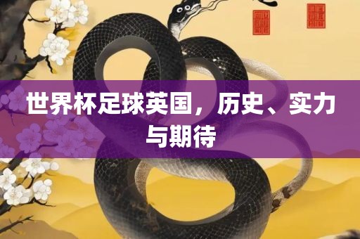 世界杯足球英国，历史、实力与期待