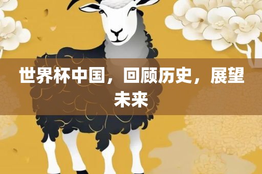 世界杯中国，回顾历史，展望未来
