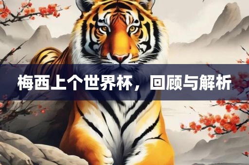 梅西上个世界杯，回顾与解析