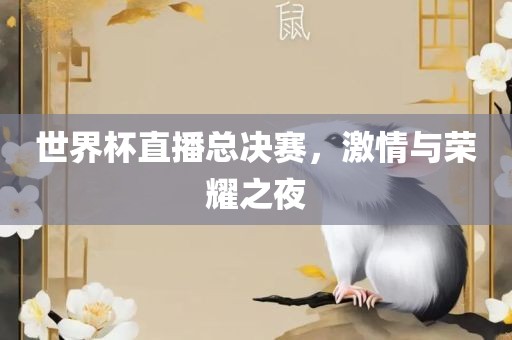 世界杯直播总决赛，激情与荣耀之夜